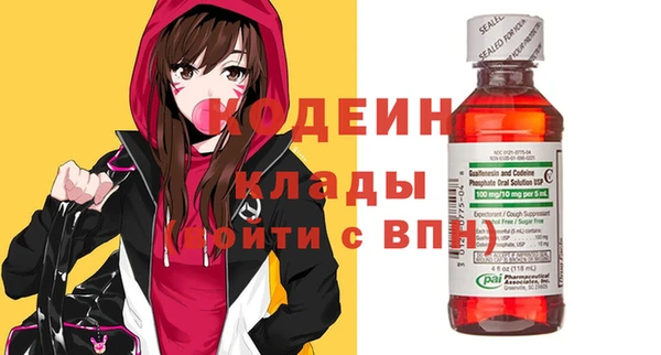дживик Бронницы
