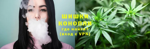 дживик Бронницы