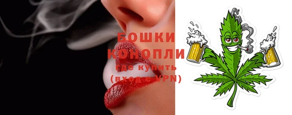 дживик Бронницы