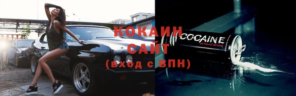 дживик Бронницы