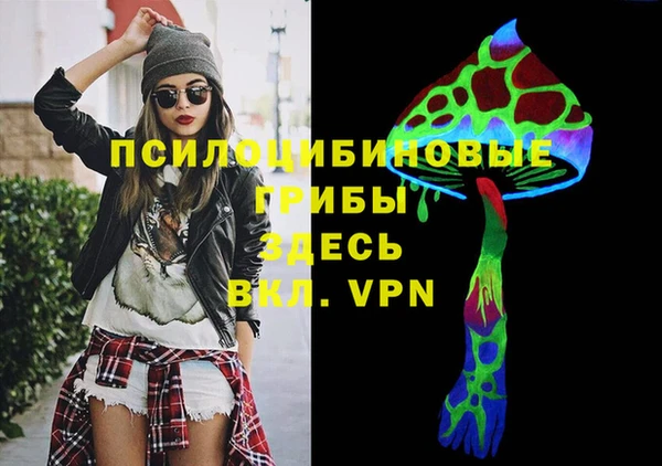 дживик Бронницы