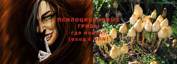 дживик Бронницы