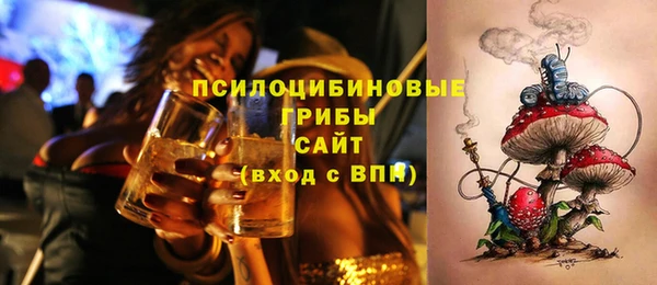 spice Бугульма