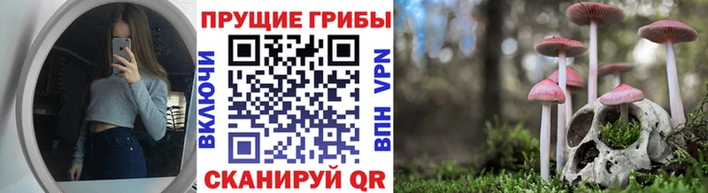Галлюциногенные грибы Psilocybine cubensis  Купить  Нолинск 